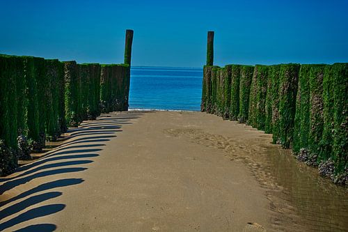 Breakwaters in the Sea