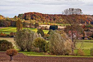 Heuvelland @ Wijlre