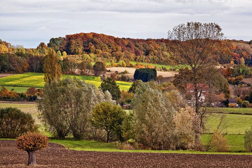 Heuvelland @ Wijlre by Rob Boon