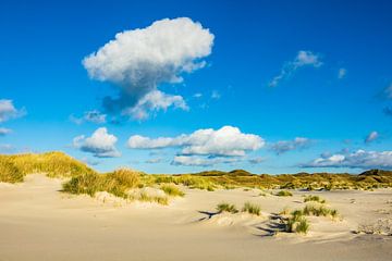 Landscape with dunes on the North Sea island Amrum, Germany