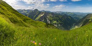 Panorama sur la vallée de l'Oy sur Walter G. Allgöwer