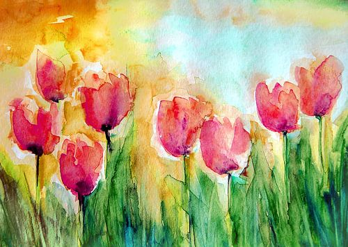 Evening atmosphere in the tulip garden