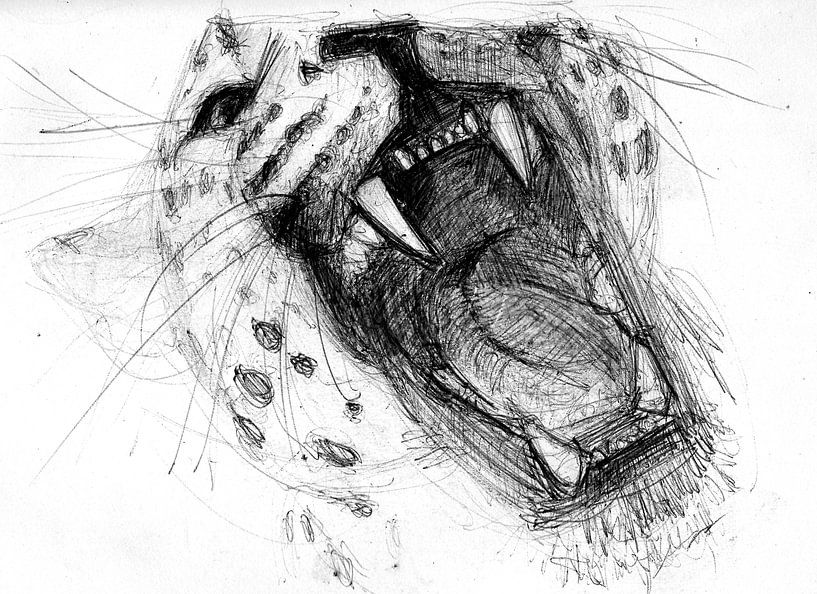 PANTHER BITES BLACK WHITE by Vincent Jacobs
