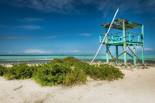 Strand op het eiland Bonair in het Caribisch gebied.