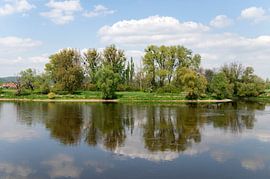 Le vert du printemps se reflète dans l'Elbe sur Richard Wareham