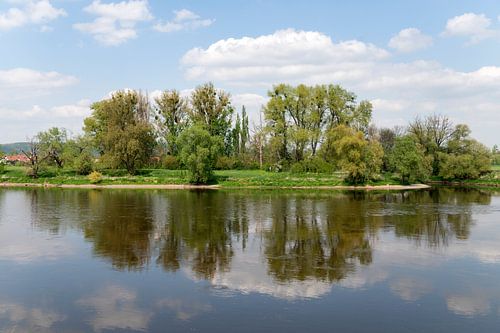 Voorjaarsgroen weerspiegeld in de Elbe