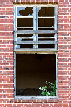 Zerbrochenes Fenster mit Blumenschmuck