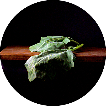 Foto van een bieten blad op houten tafel van Monki's foto shop