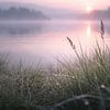 Sonnenaufgang am Staffelsee- ein stiller Moment am Morgen von Christina Bauer Photos