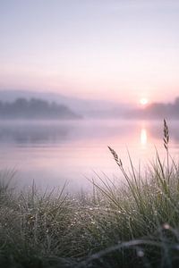 Sonnenaufgang am Staffelsee- ein stiller Moment am Morgen