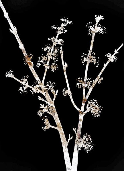 Japanse Bloemen Neutraal van FRESH Fine Art