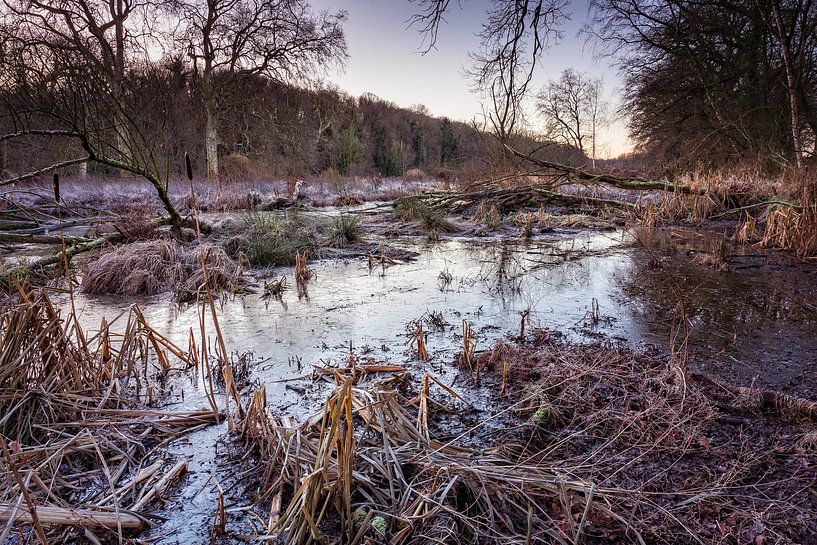 Une nature intacte dans le parc du château d'Elsloo par Rob Boon