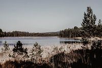 Blick über Loch an Eilein in Schottland