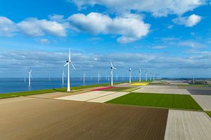 Windturbinen auf einem Deich und vor der Küste im Frühling aus der Vogelperspektive