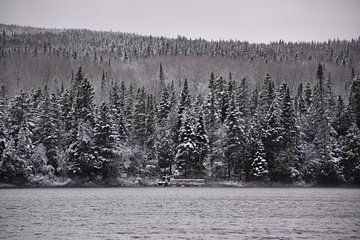 Eerste sneeuw op het meer in de herfst van Claude Laprise