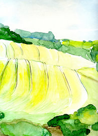 Felder 1 von Claudia Gründler