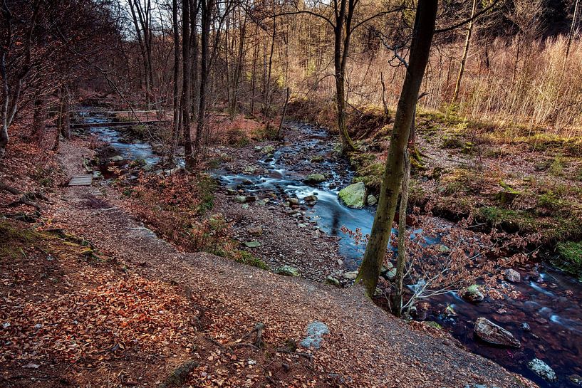 Bergrivier La Hoëgne van Rob Boon