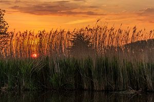 Sfeervolle zonsopkomst tijdens een boottochtje op de Blankaart te Diksmuide