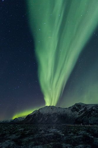 Aurora Borealis - Noorderlicht op de Lofoten