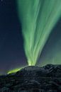 Aurora Borealis - Polarlichter auf den Lofoten von Dieter Meyrl Miniaturansicht