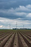 three mills in Flevoland