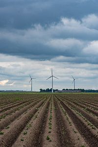 drie molens in Flevoland
