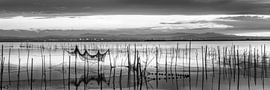 Landscape at sunset black and white by Manfred Voss, Black-White Photography