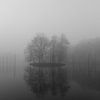 Island in the fog by Stephan van Krimpen