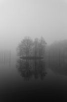 Eiland in de Mist