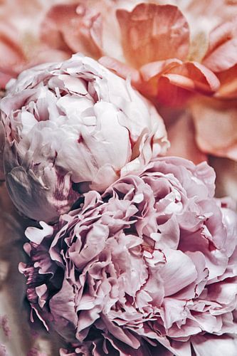 Peony