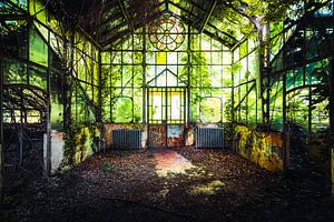 Verlassener Wintergarten in den Wäldern.