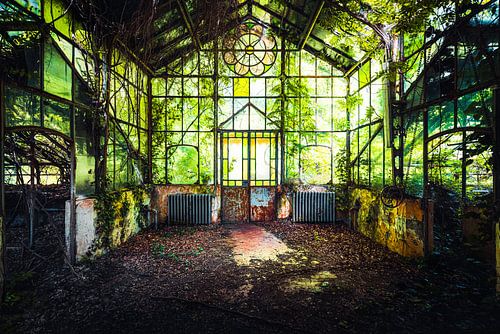 Abandoned Conservatory in the Forest.