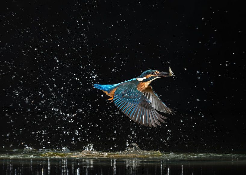 Mission accomplished! by Robert Kok