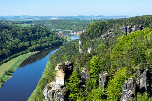 Uitzicht op de Elbe met de rotsen van de Bastei in het Elbezandsteengebergte in Saksen van Animaflora PicsStock