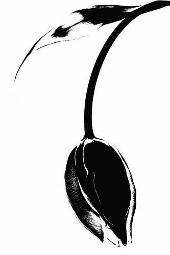 Tulp Modern en minimalistisch