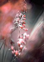 RED SPANGLES no4-Butterflies
