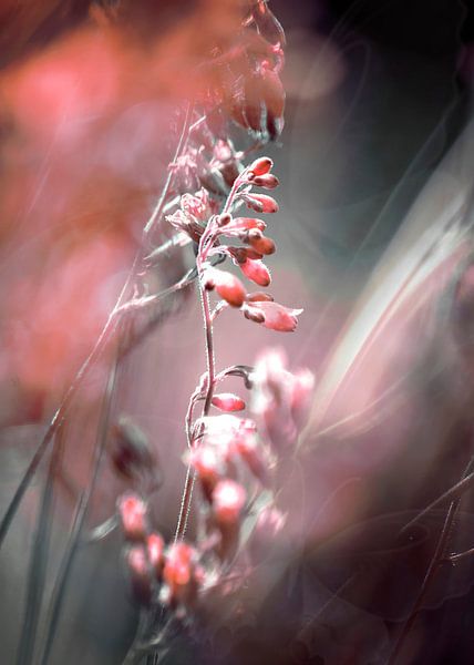 RED SPANGLES no4-Butterflies by Pia Schneider