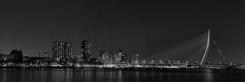 Blick auf die Erasmusbrücke