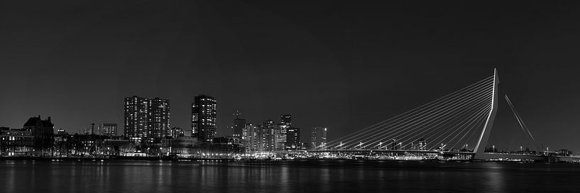Vergezicht Erasmusbrug van Inge Bogaards