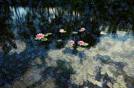 Das Blumenpfund von Herman Kremer Miniaturansicht