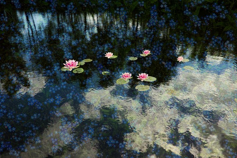The flower pound by Herman Kremer