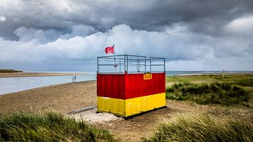 Lifeguard by rosstek ®