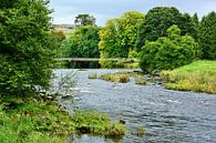 River Wharfe in den Yorkshire Dales van Gisela Scheffbuch thumbnail