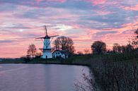 Windmolen De Vlinder van Marco Almodova thumbnail
