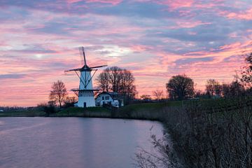 De Vlinder Windmühle von Marco Almodova