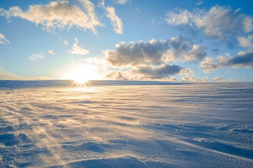 Zonsondergang in het winterlandschap