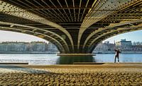 Selfie onder een brug von Steven Groothuismink Miniaturansicht