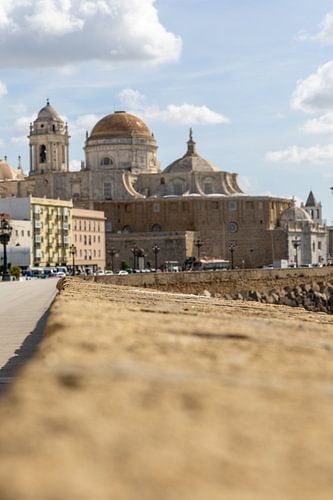 Een prachtig uitzicht op de kathedraal vanaf de promenade langs het water in Cádiz, Andalusië, Spanje.