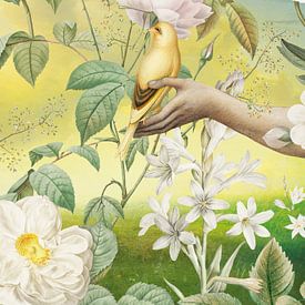 Yellow Bird in our Garden van Marja van den Hurk