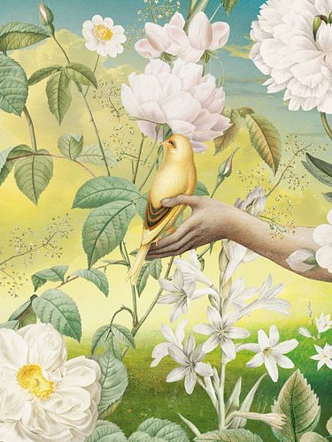 Yellow Bird in our Garden sur Marja van den Hurk